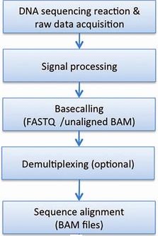 image/Bioinfo_flow.jpg